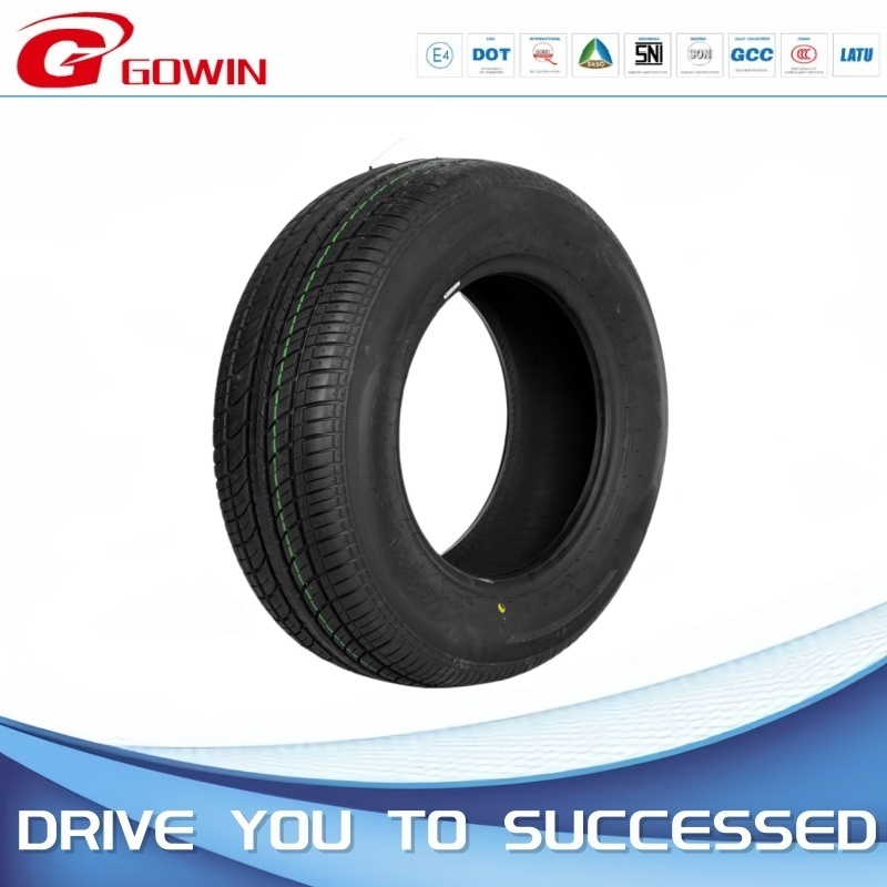 Winter Snow Haida EV Tires with M+S Tire for Car 205/65r15 235/45r18 225/50r17 205/55r16 195/65r15 175/65/R14 for Canada