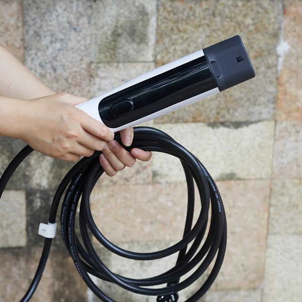 Is This All in One Charger Charging Station Suitable for Fleet Management? Supports Multiple Evs Simultaneously.