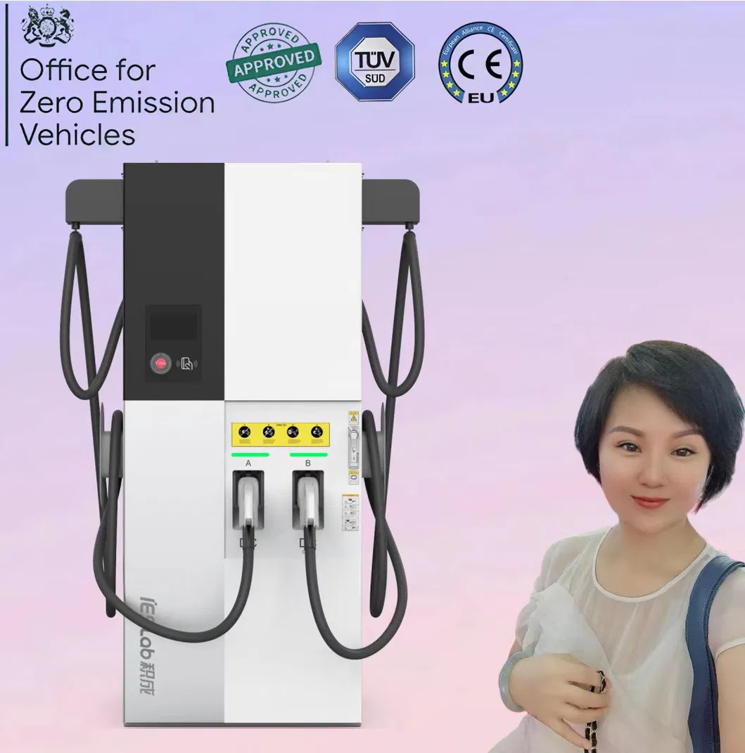 DC EV Charger Interface