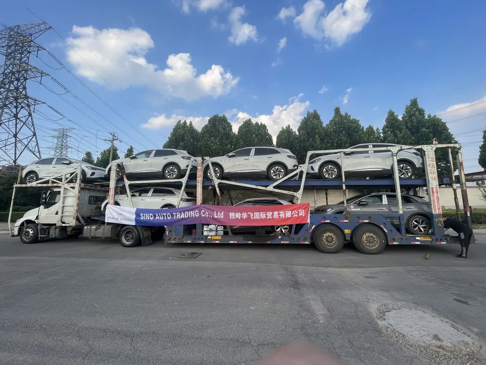 Expert Export Service