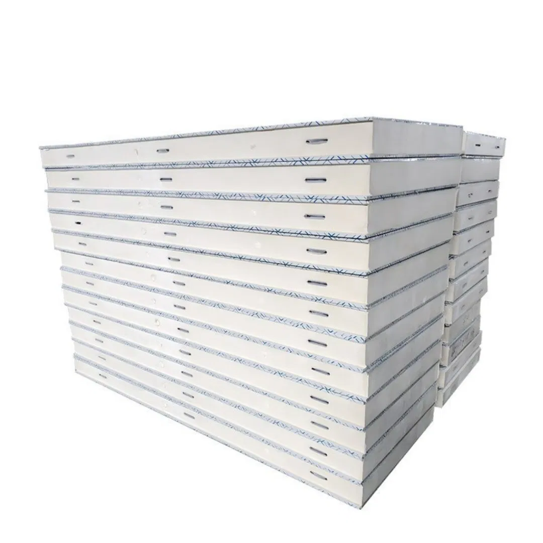 Eco-Friendly Cold Storage Panel with 90% Recyclable Content for Sustainability