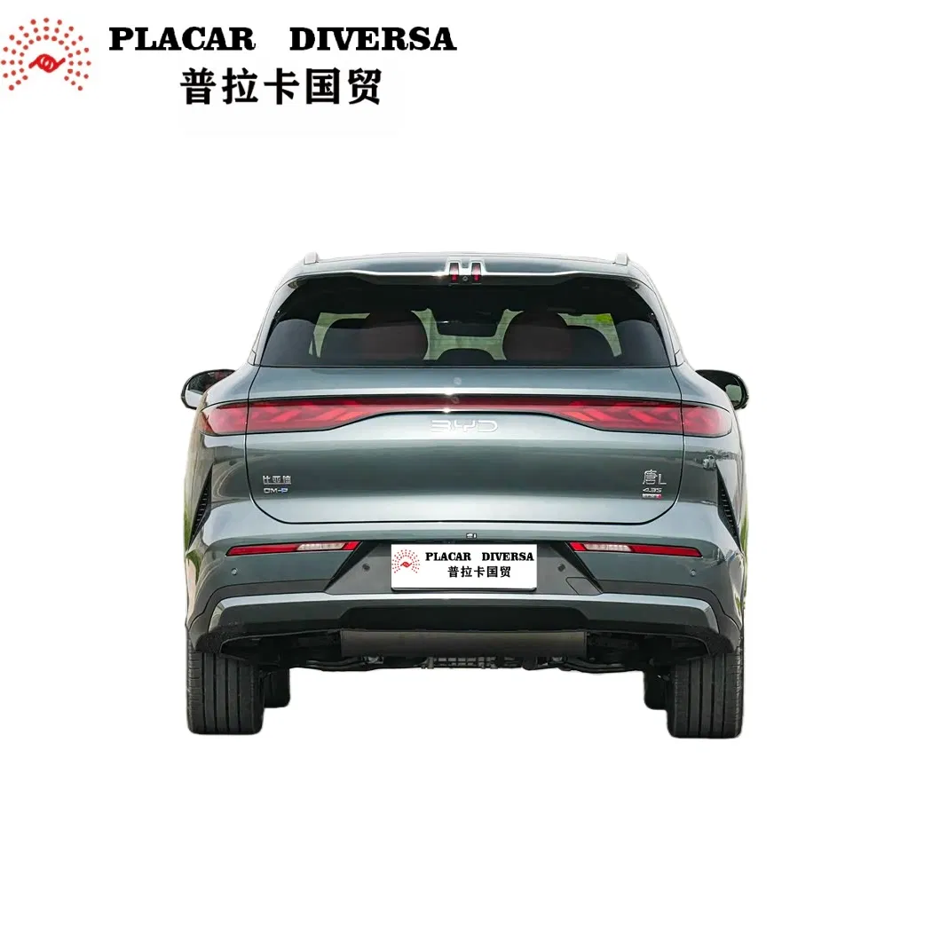 BYD Tang L EV Detail 4