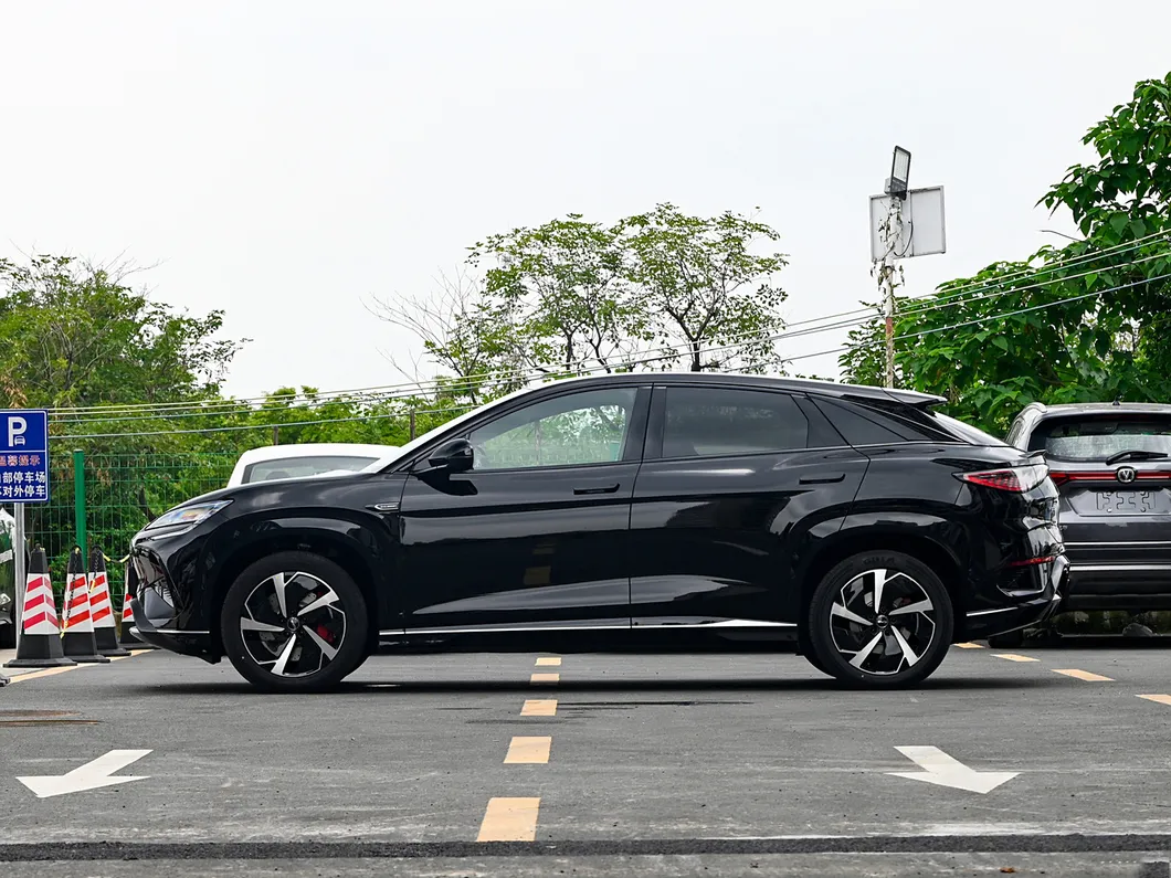 Byd Sea Lion Interior