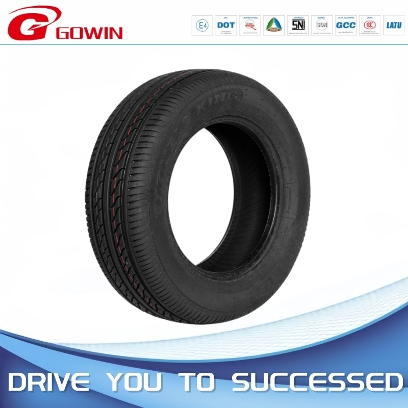 Winter Snow Haida EV Tires with M+S Tire for Car 205/65r15 235/45r18 225/50r17 205/55r16 195/65r15 175/65/R14 for Canada