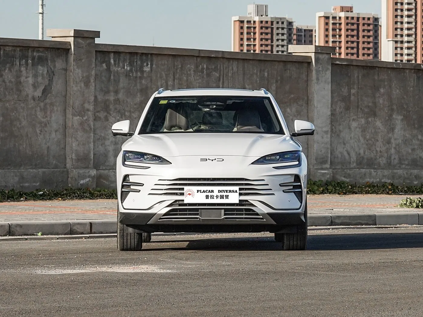 Used Byd Song Plus Dmi Smart 160km Flagship EV Car Used Car