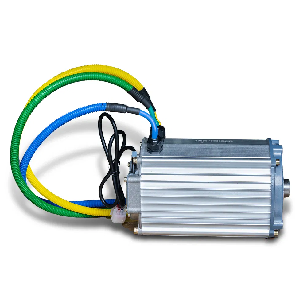 48V 60V 72V 5kw Pmsm DC Motor EV, Golf Cart, Rickshaw, Electric Truck, Tricycle Cargo Manufacture and Conversion Kit (CCC CE)