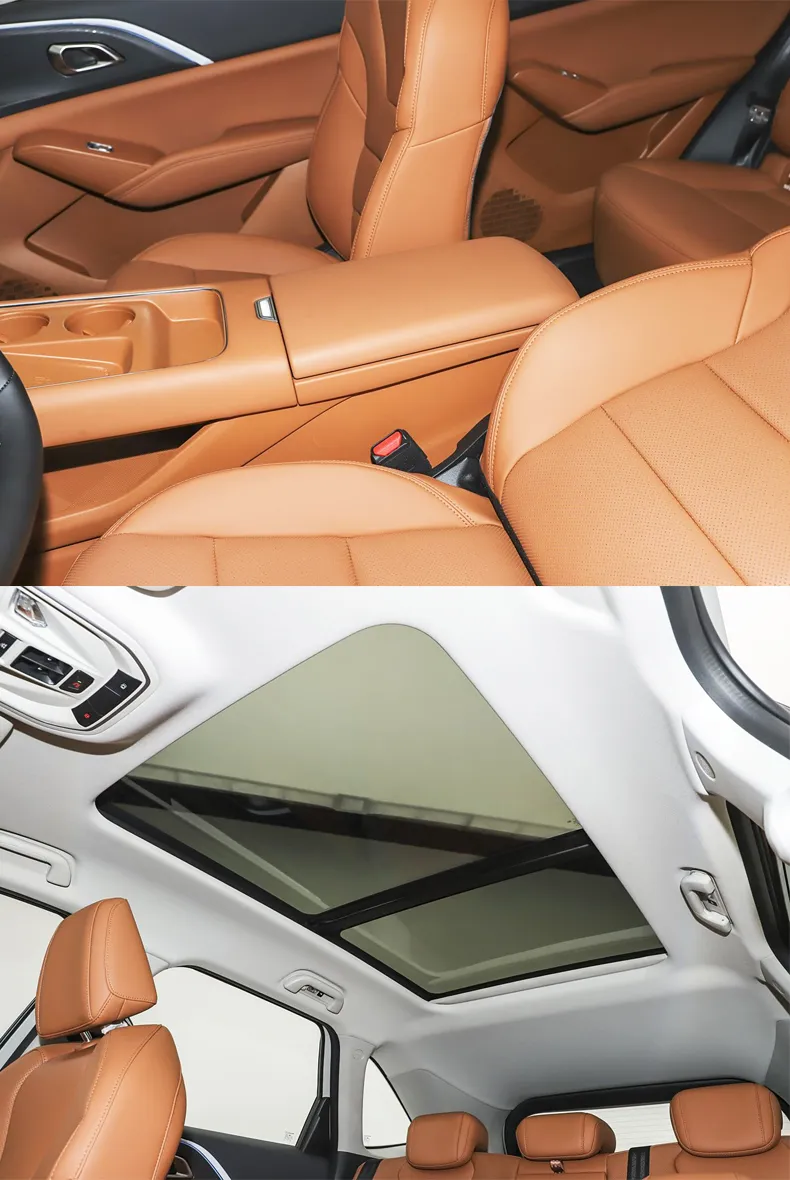 Haval Xiaolong Max View 6