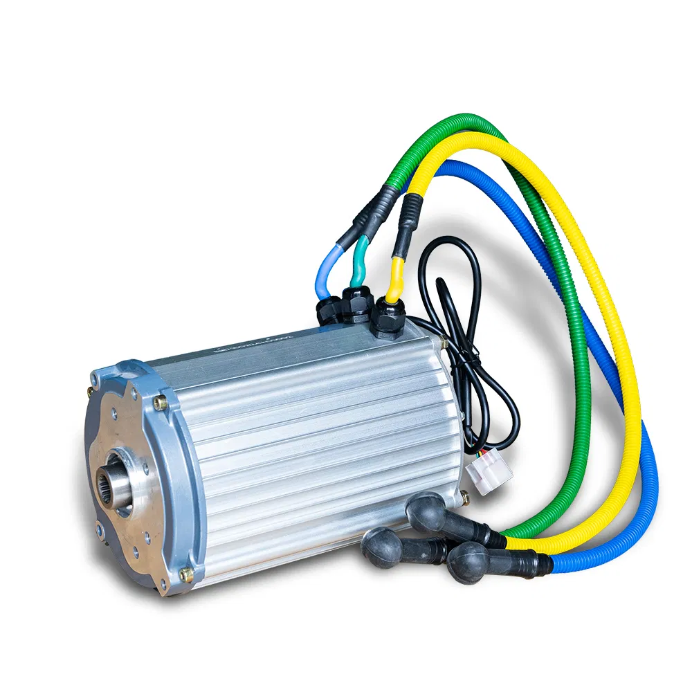 PMSM DC Motor