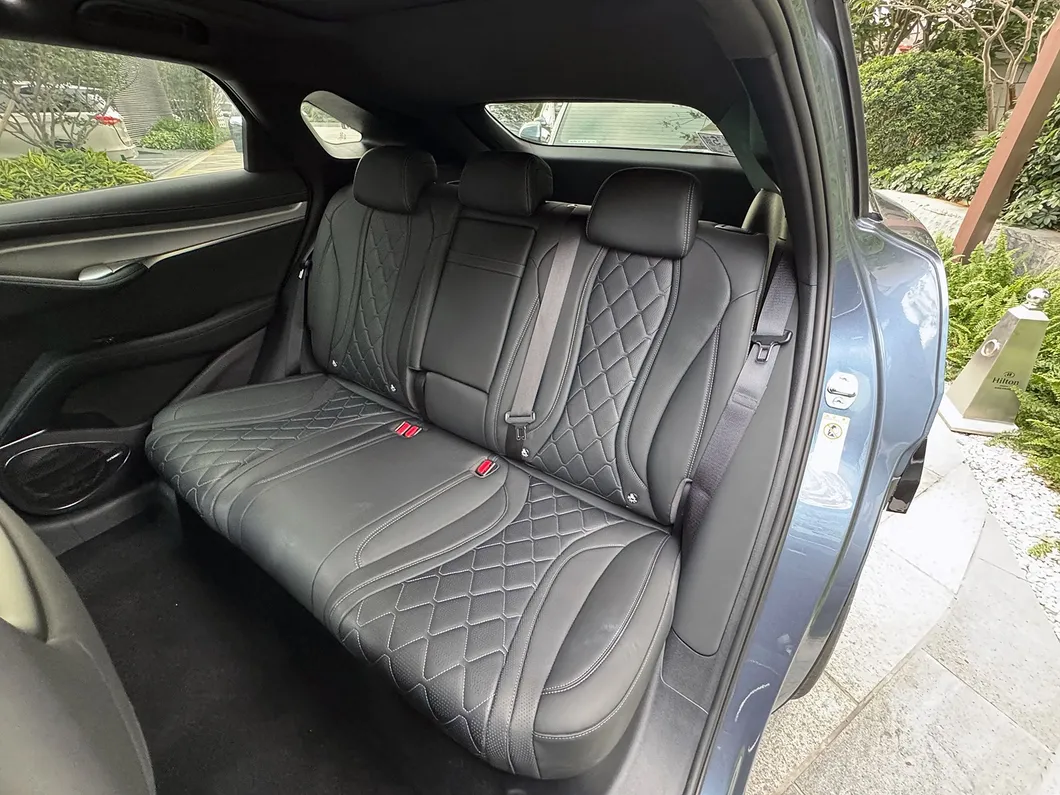 BYD Sea Lion Rear View