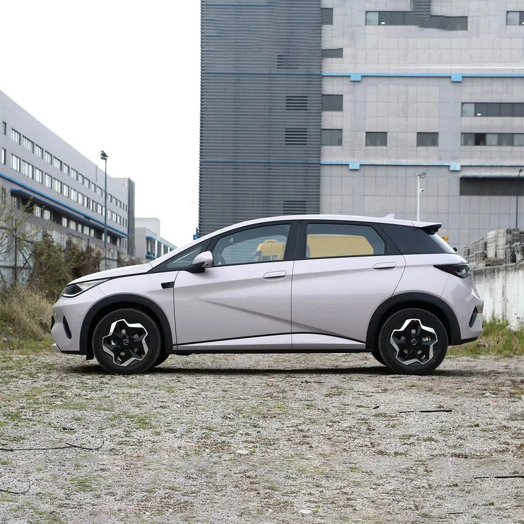 High Performance EV Mini Electric Byd Dolphin Auto Car with High Safety