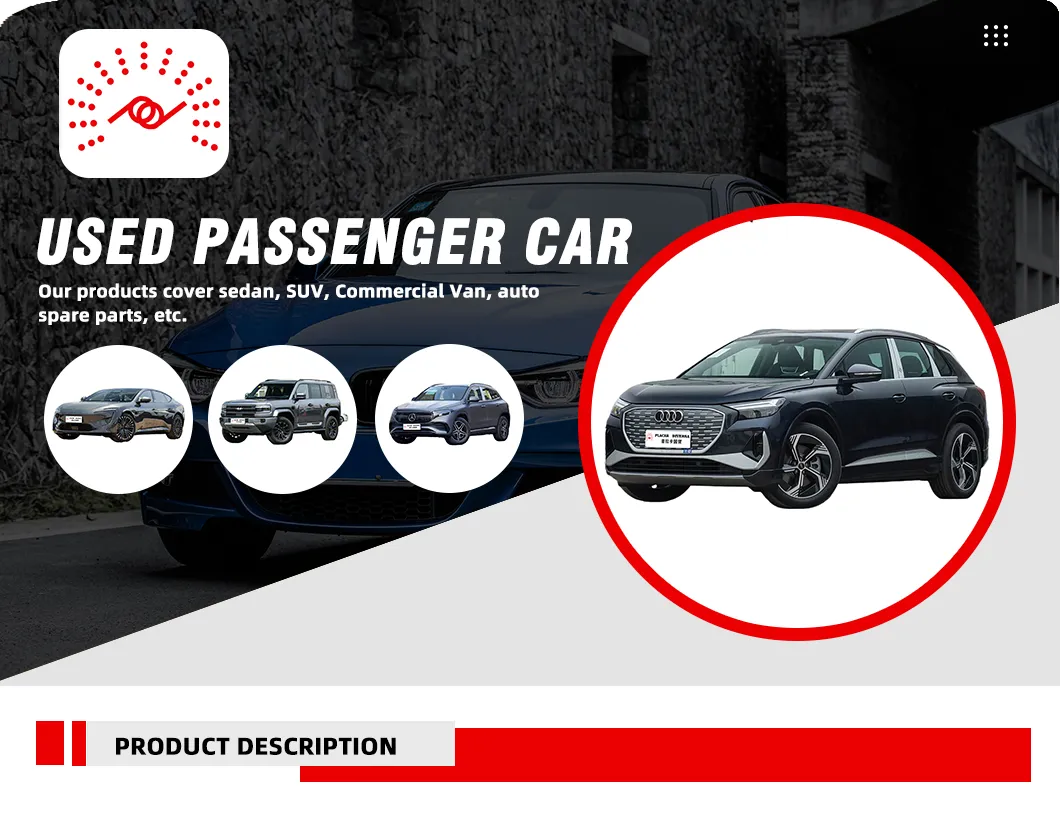 BYD Tang L EV Overview