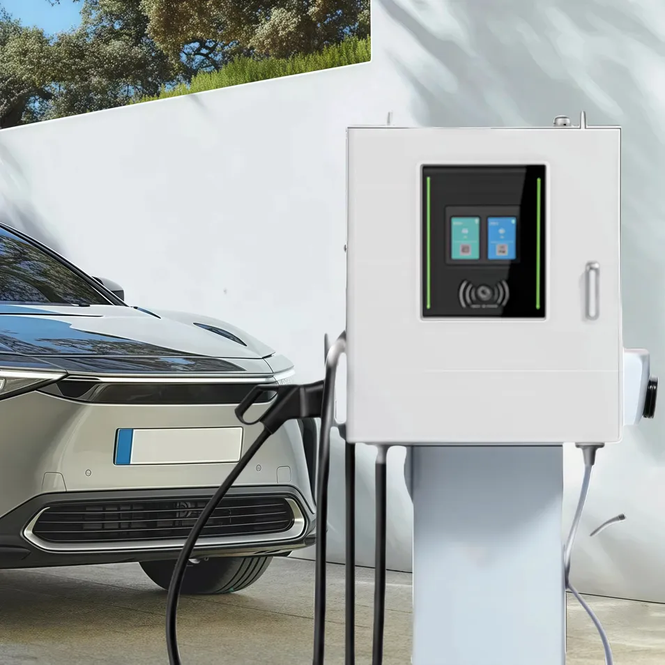 DC Smart Charger Detail