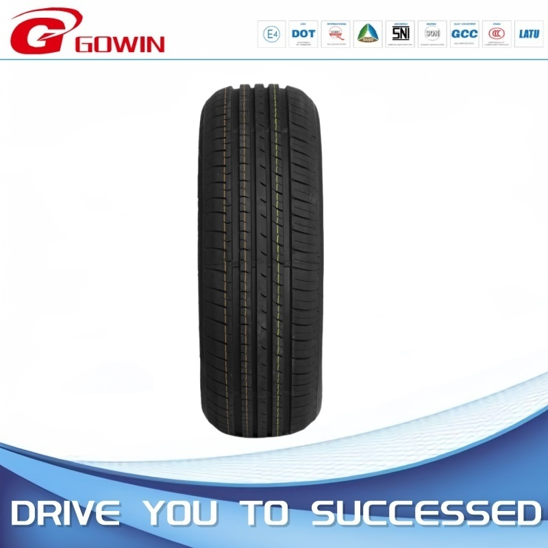 Winter Snow Haida EV Tires with M+S Tire for Car 205/65r15 235/45r18 225/50r17 205/55r16 195/65r15 175/65/R14 for Canada