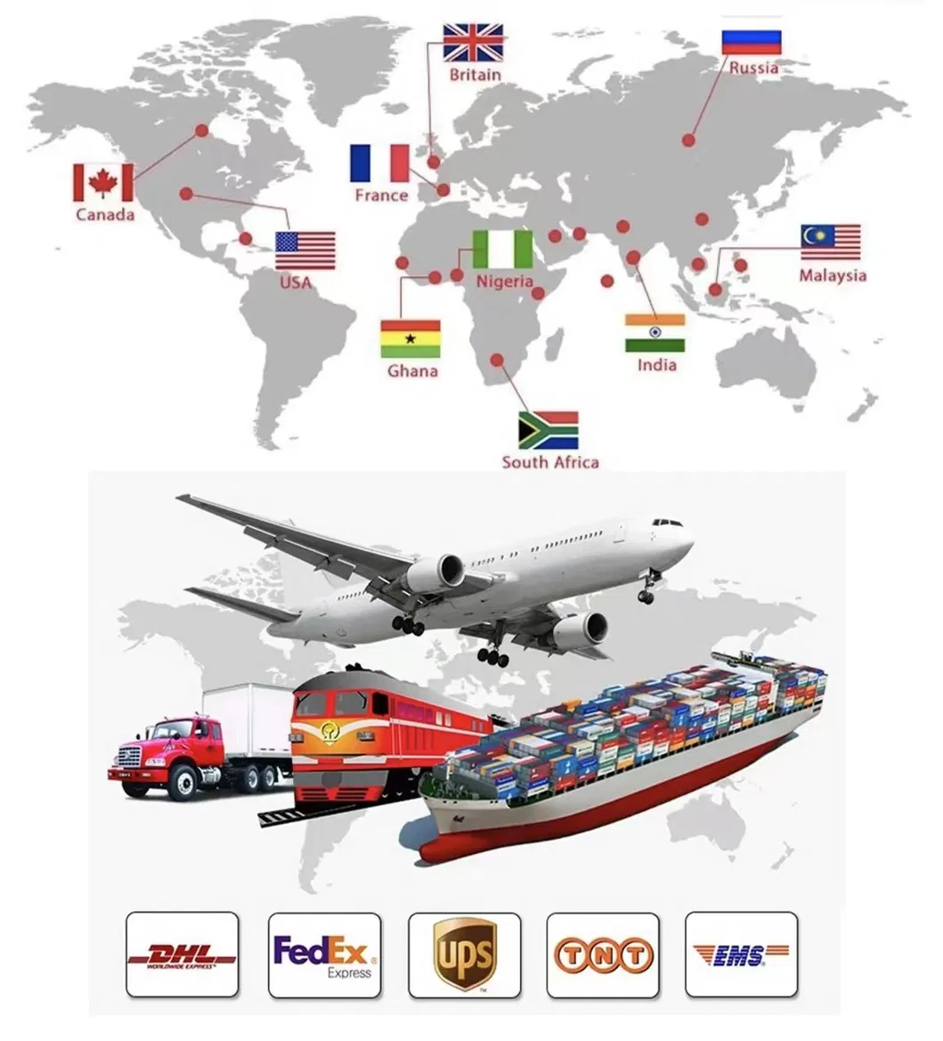 Shipping Options and Logistics Flow