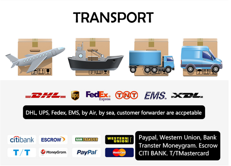 Packaging display 1