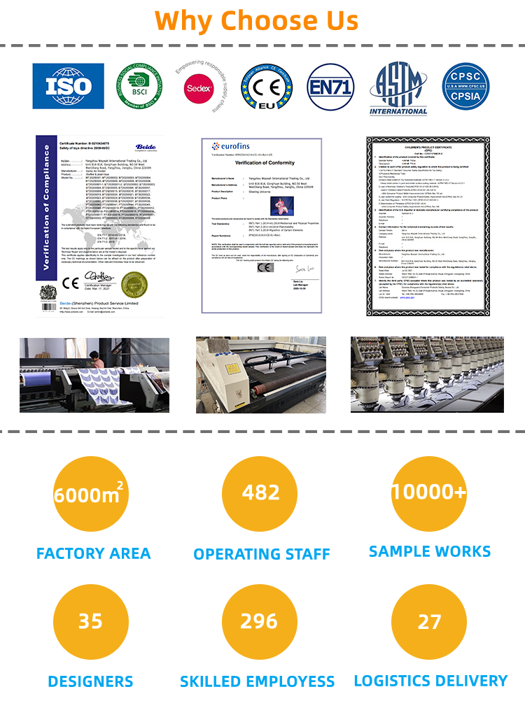 Why Choose Us Graphic