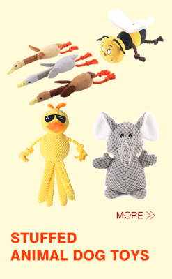 Recommended Toy 2
