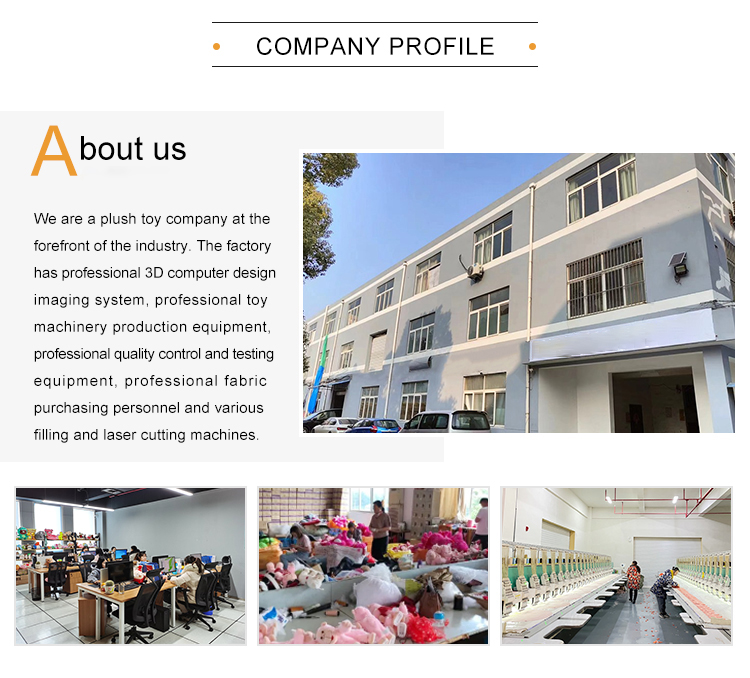 Why Choose Us 1