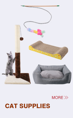 Recommended Toy 5