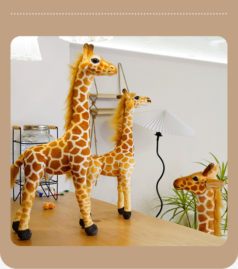 Product Display 15