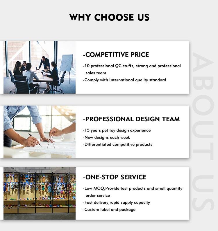 Why Choose Us infographic