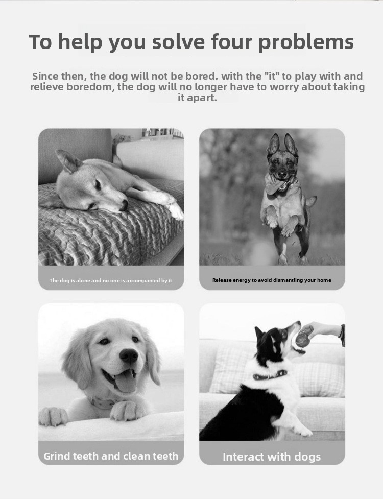 Cute Interactive Dog Teething Toy