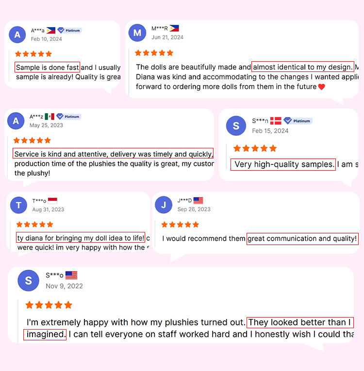 Customer Review 1