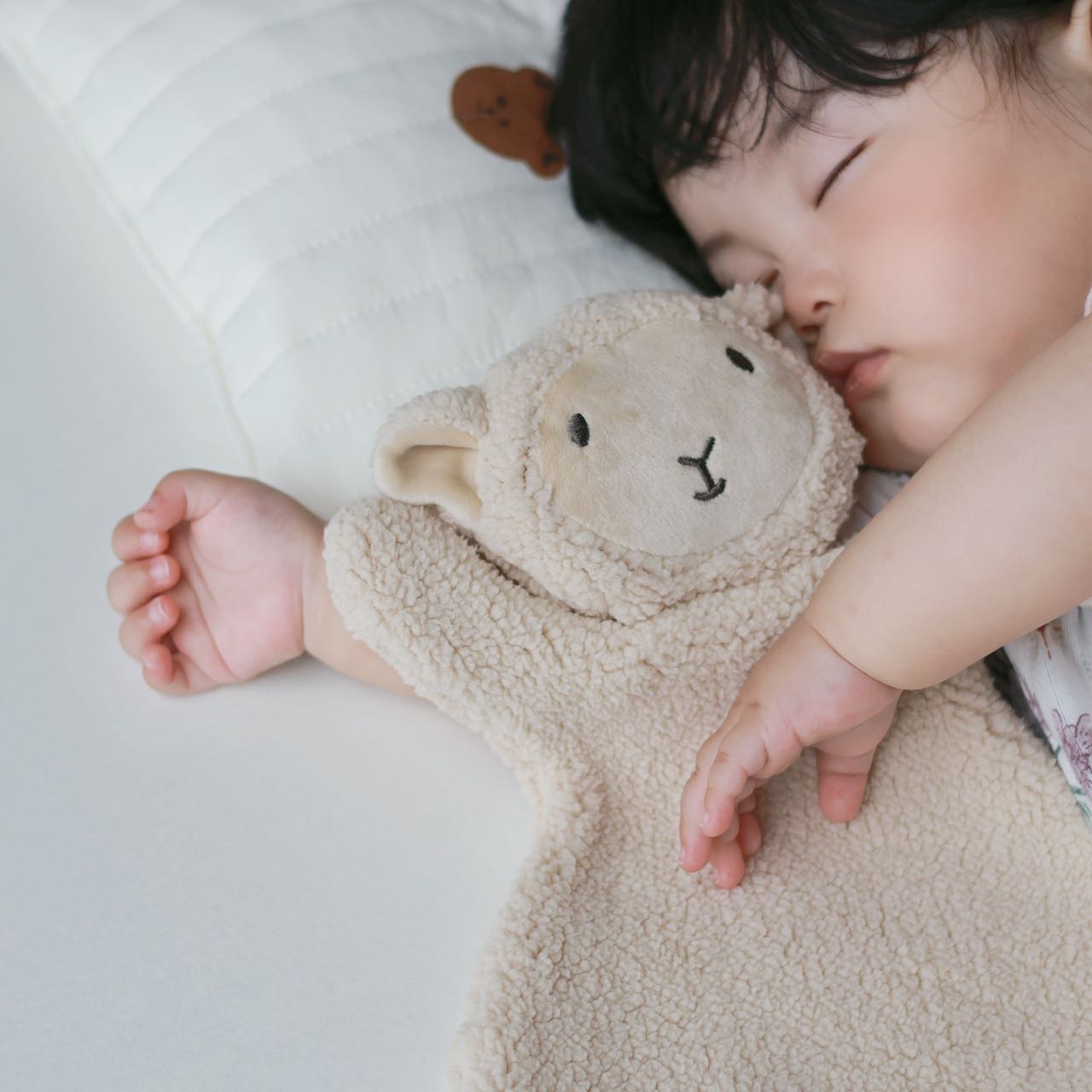 Teddy Bear Product View 6