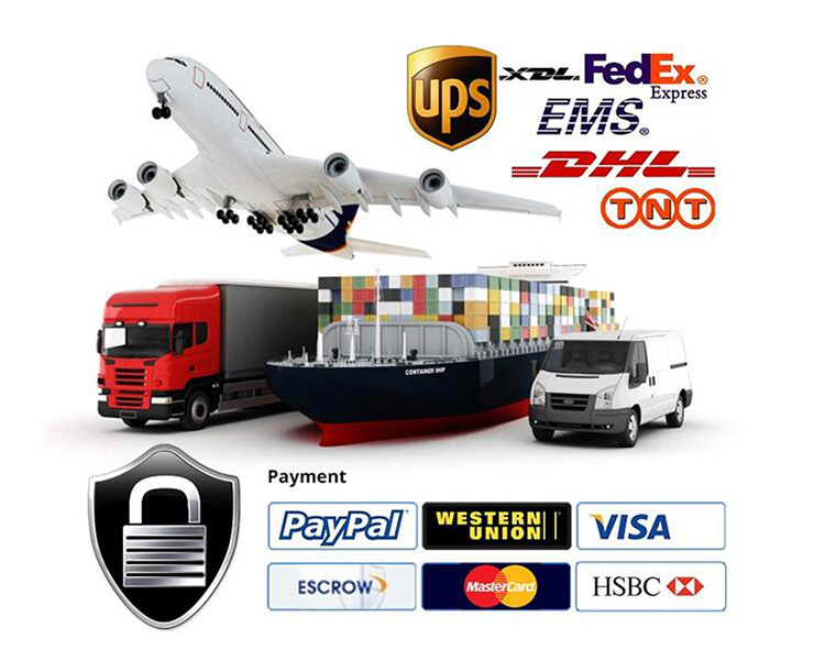 Payment and Shipping