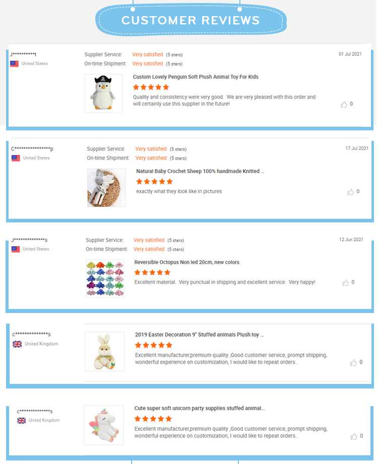 Customer Review 2