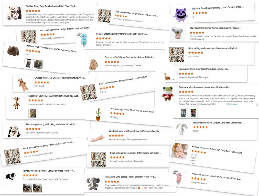 Client Feedback
