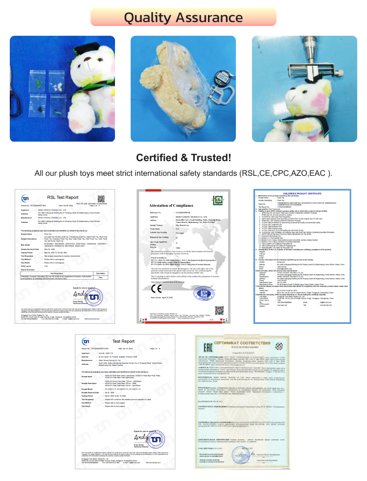 Certificate 1