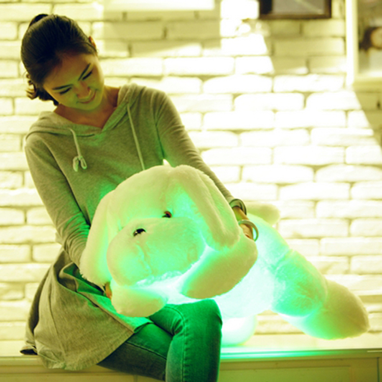 Colorful LED plush cushion dog 2