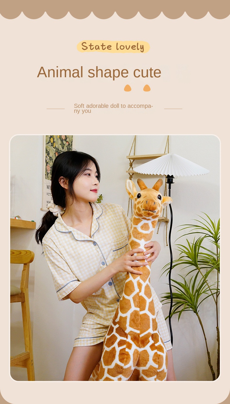 Product Display 5