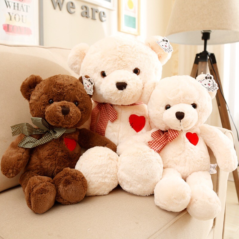 Teddy Bear Color Variant
