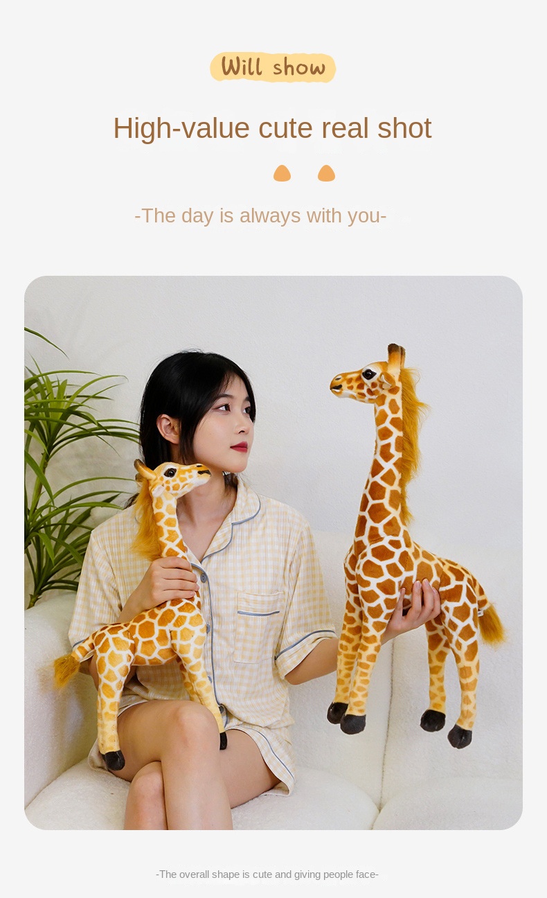 Product Display 10