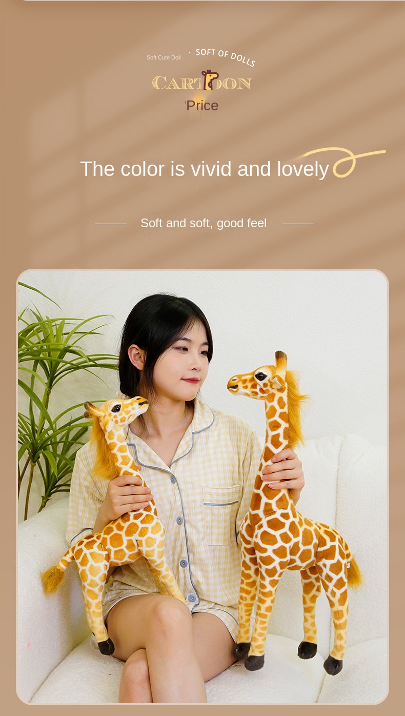 Product Display 4