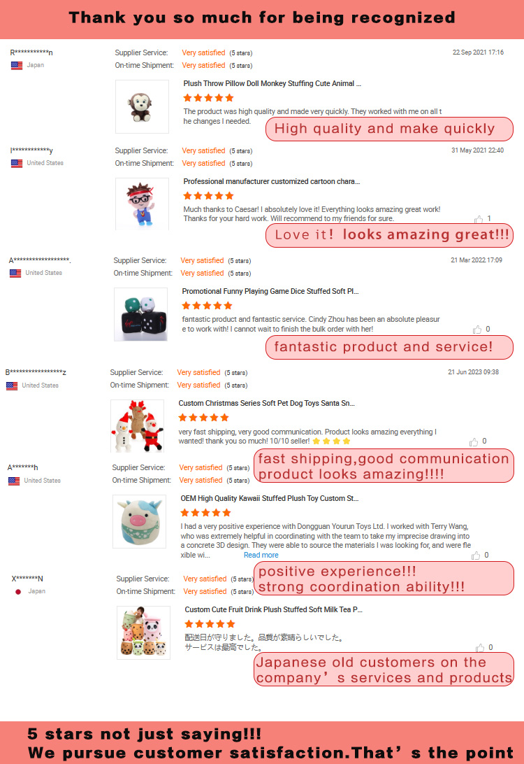 Customer Review 2