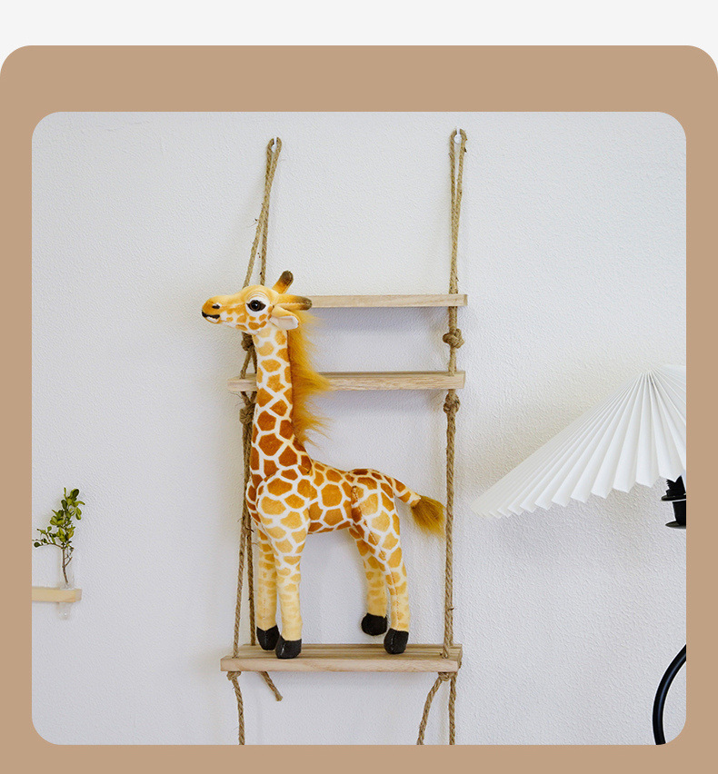 Product Display 13