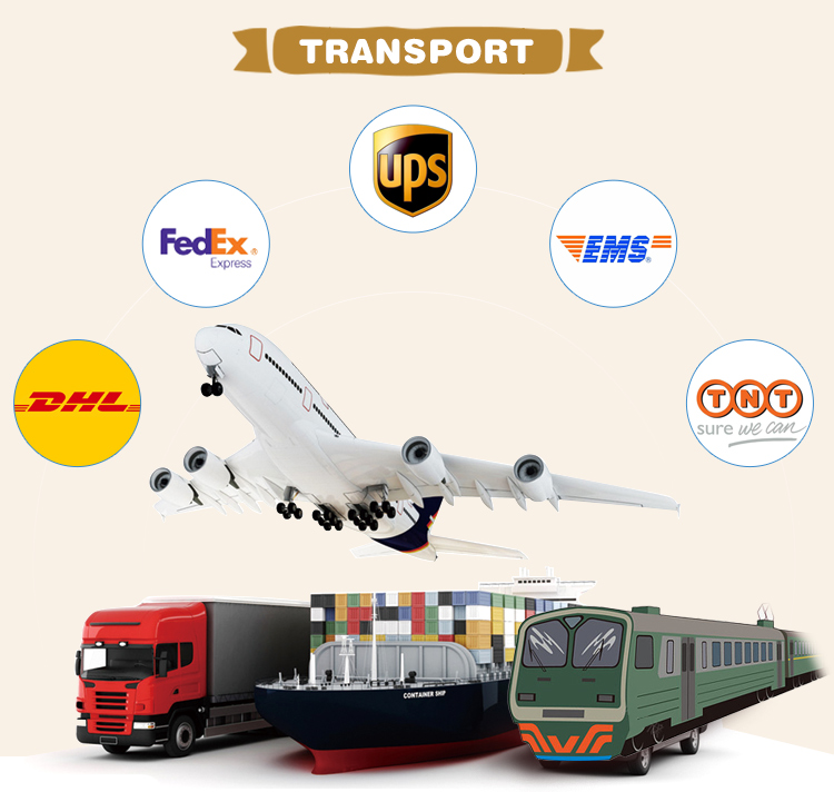 Shipping and Logistics