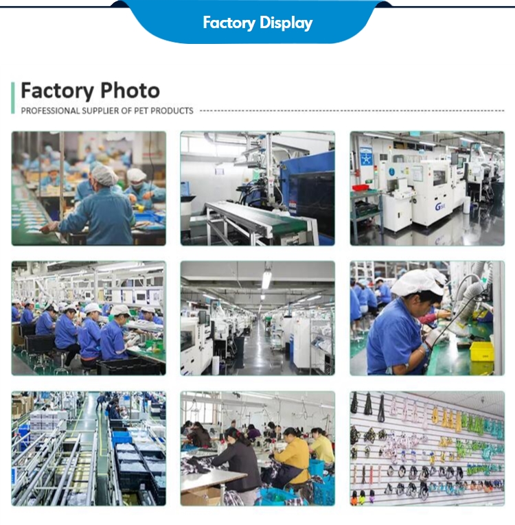 Production Process