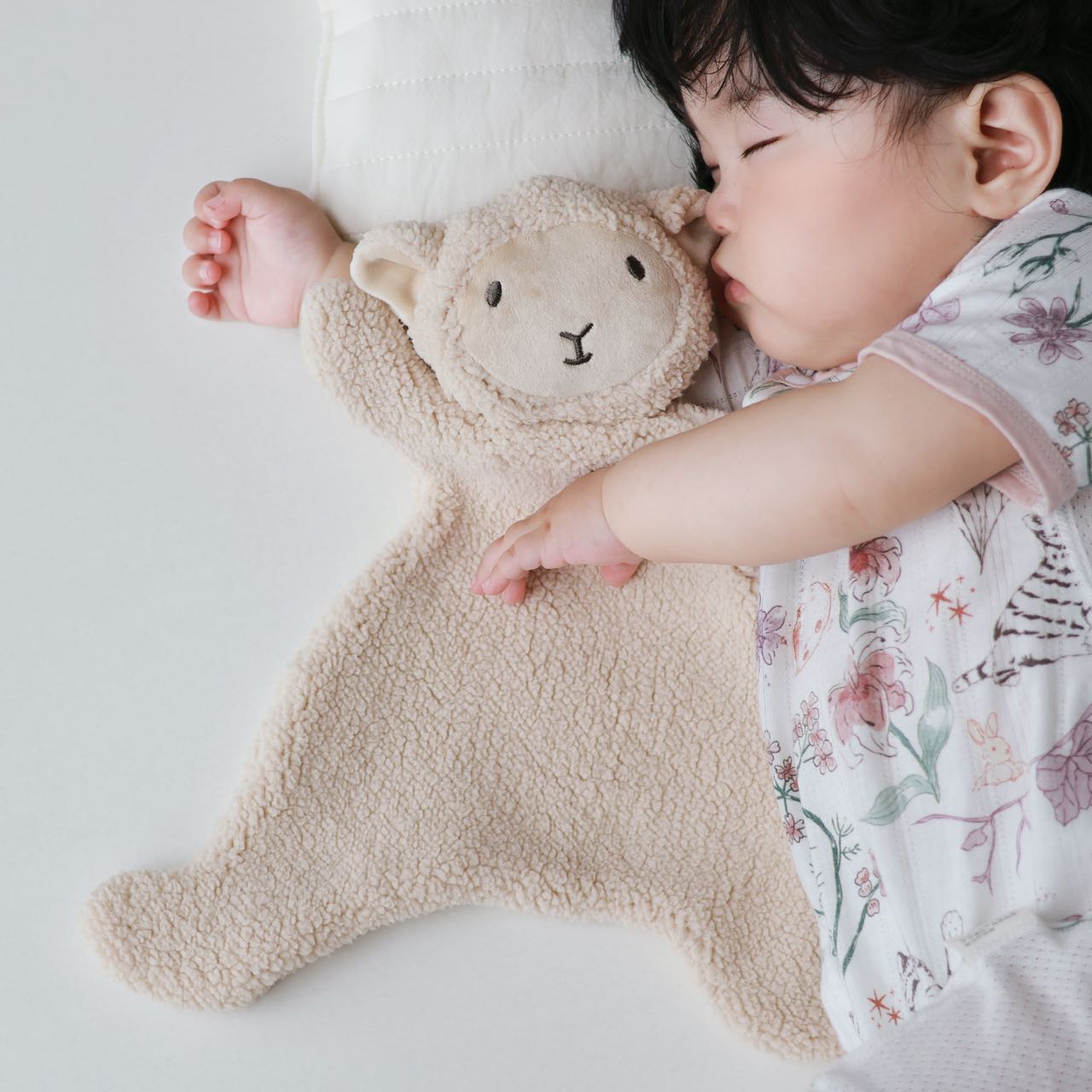 Teddy Bear Product View 5