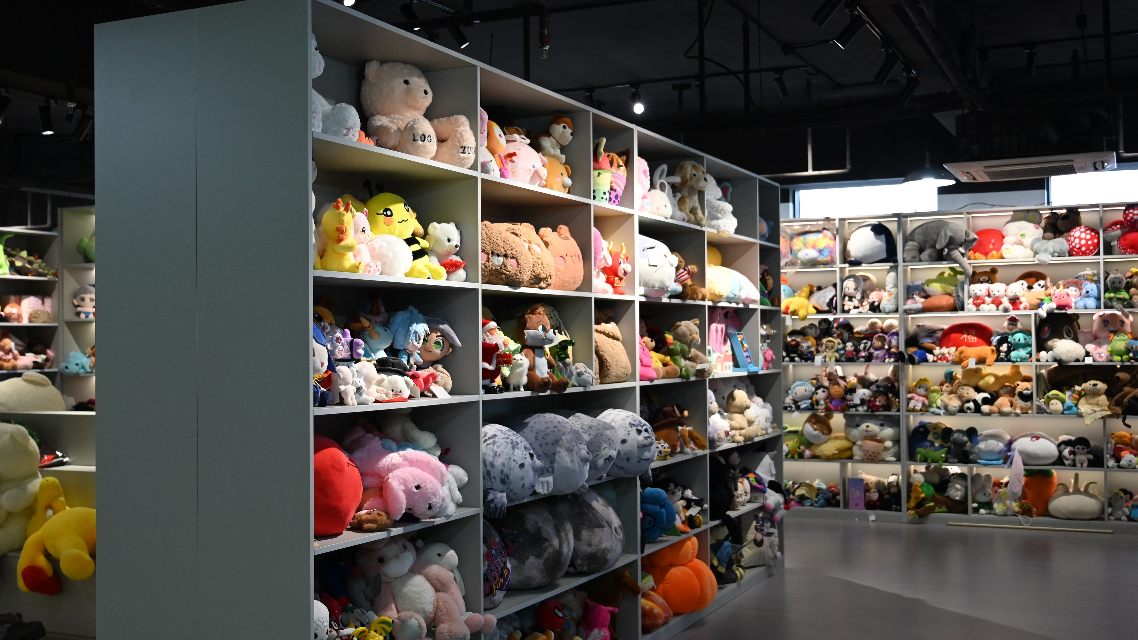 VR Showroom