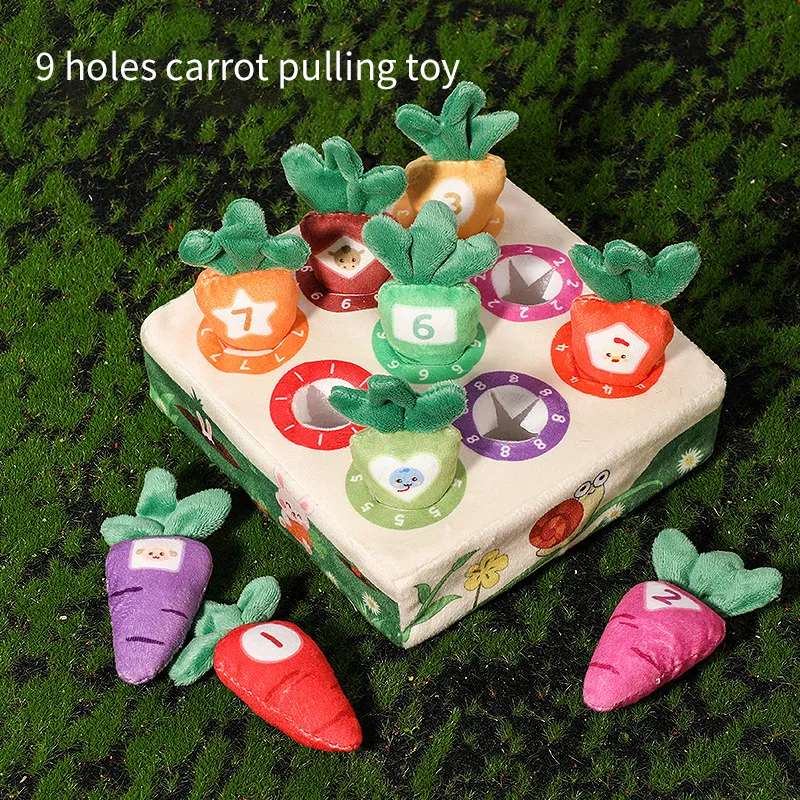 Montessori Carrot Harvest Game HY-063416