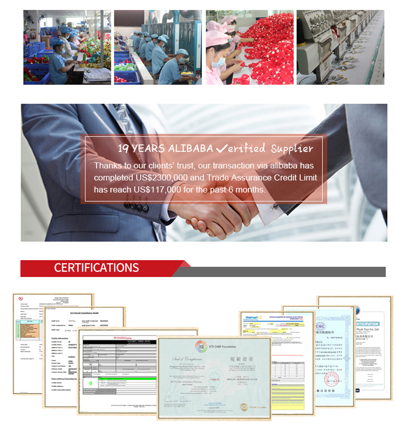 Company overview facility 2