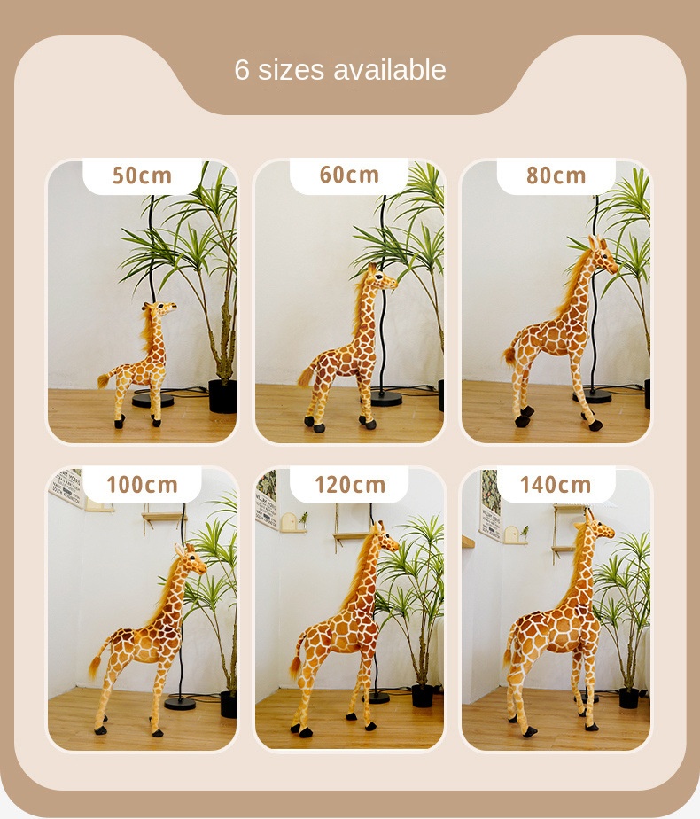 Product Display 9