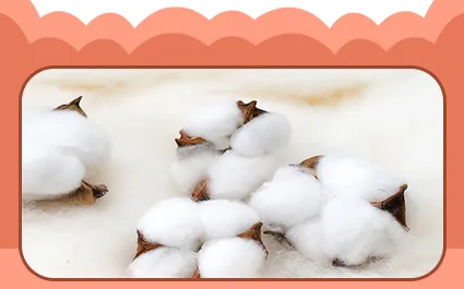 Safe Cotton Filling Details