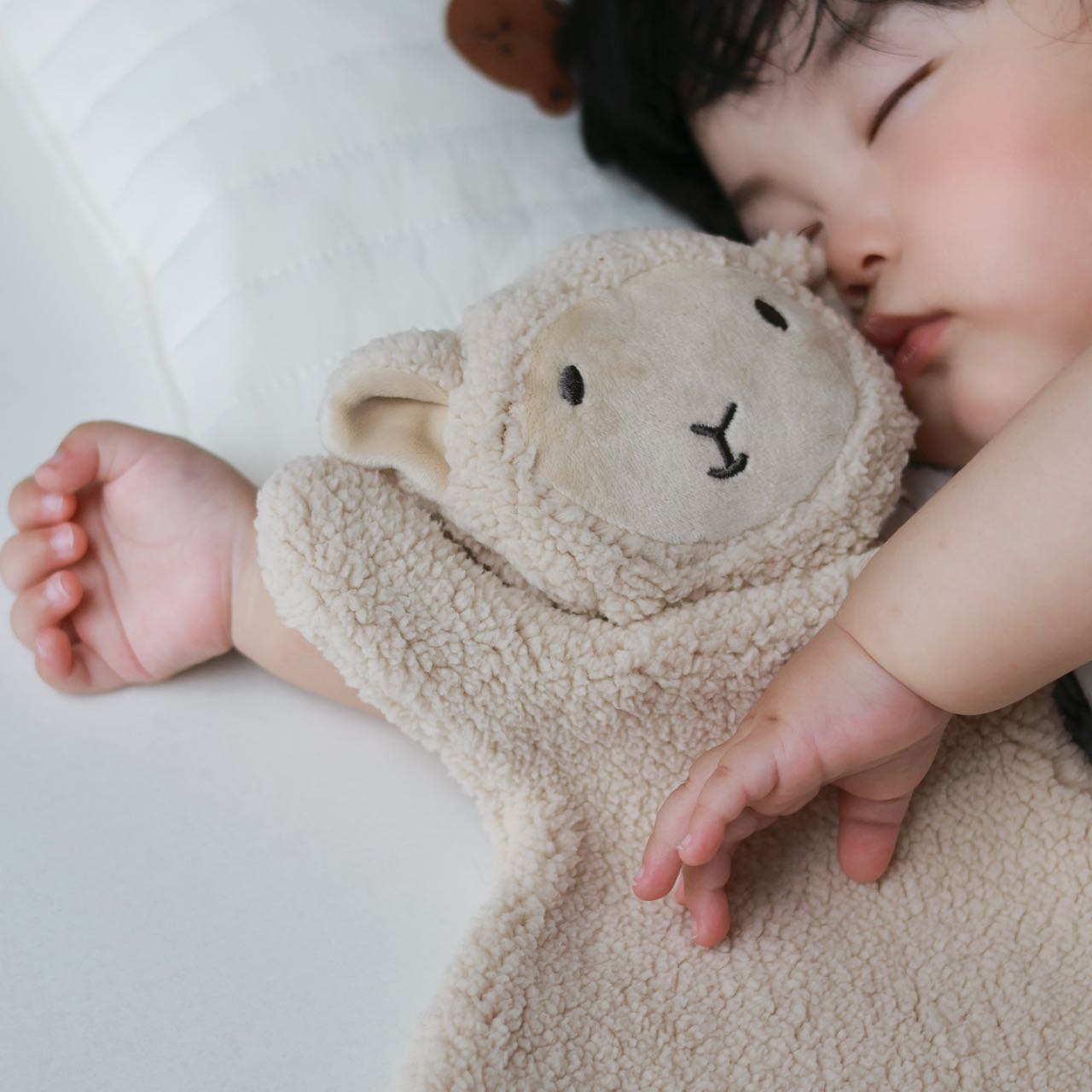 Teddy Bear Product View 4