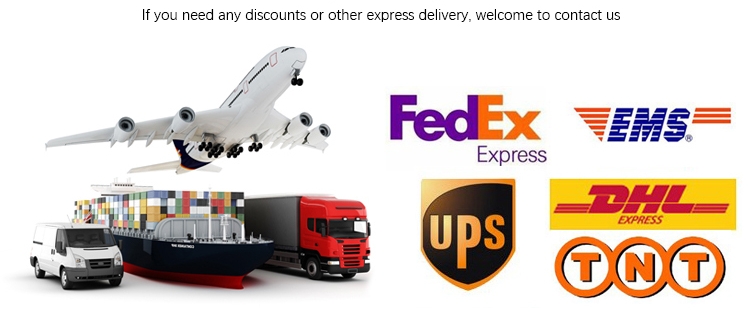 Shipping Options and Logistics Map