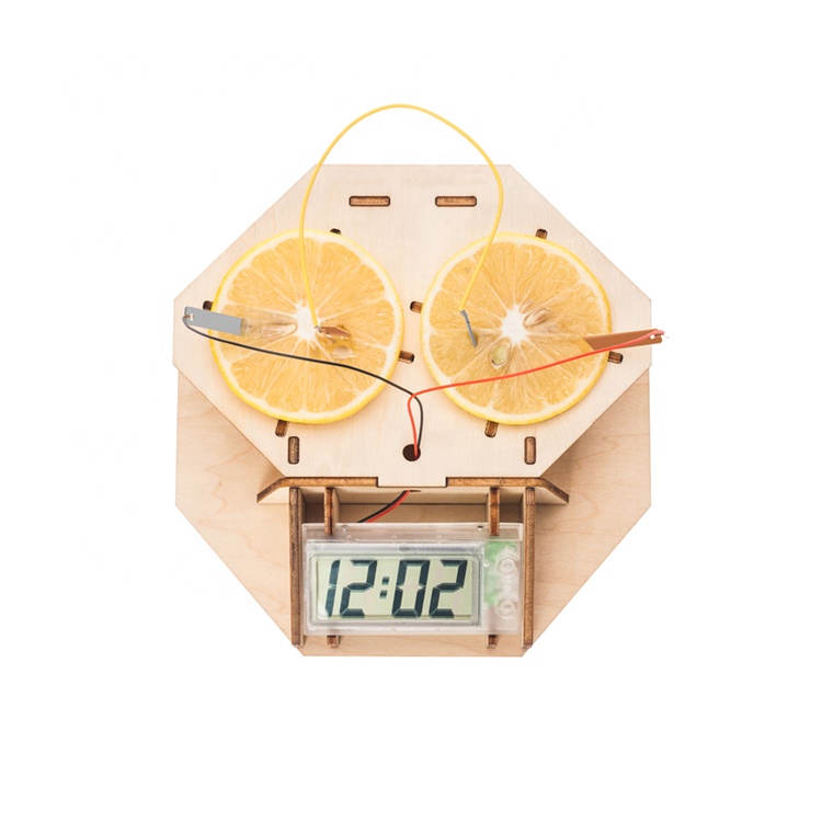 Physics and Chemistry Lesson Use Make DIY Lemon Powered Clock School Kids Science Physics Experiment Kit Diy Science Toys 2024